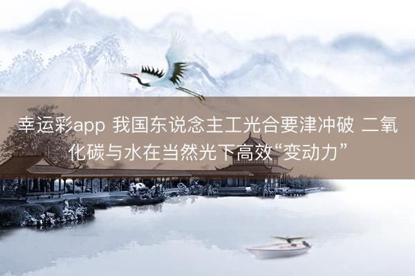 幸运彩app 我国东说念主工光合要津冲破 二氧化碳与水在当然光下高效“变动力”