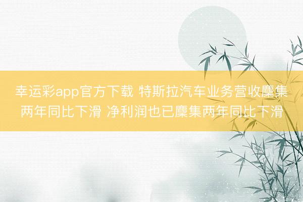 幸运彩app官方下载 特斯拉汽车业务营收麇集两年同比下滑 净利润也已麇集两年同比下滑