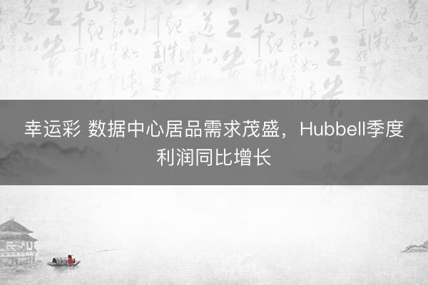 幸运彩 数据中心居品需求茂盛，Hubbell季度利润同比增长