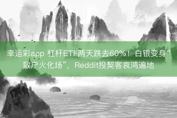 幸运彩app 杠杆ETF两天跌去60%！白银变身“散户火化场”，Reddit投契客哀鸿遍地