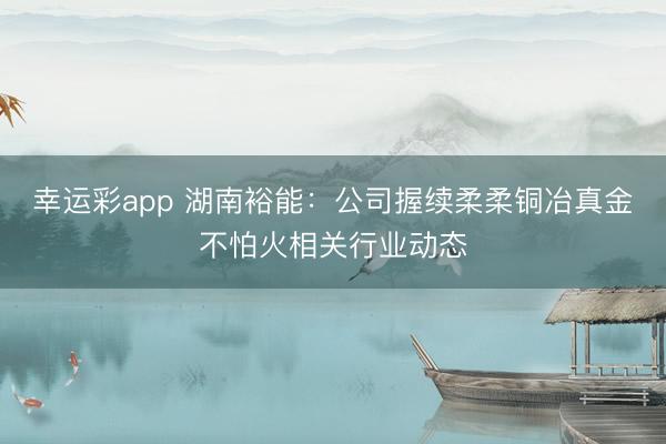 幸运彩app 湖南裕能:公司握续柔柔铜冶真金不怕火相关行业动态