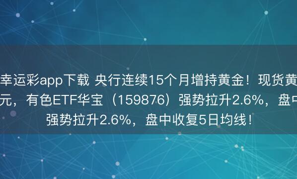 幸运彩app下载 央行连续15个月增持黄金!现货黄金重返5000美元,有色ETF华宝(159876)强势拉升2.6%,盘中收复5日均线!