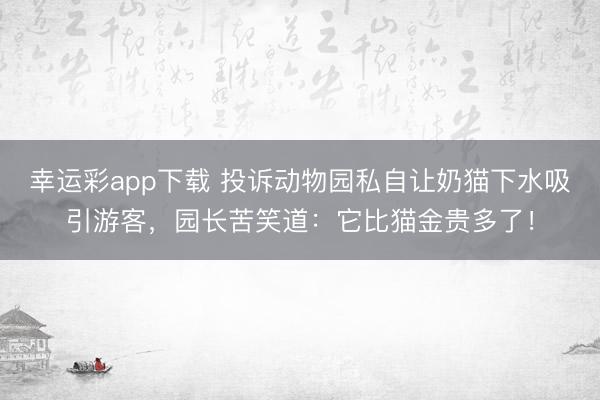幸运彩app下载 投诉动物园私自让奶猫下水吸引游客，园长苦笑道：它比猫金贵多了！