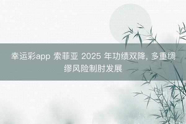 幸运彩app 索菲亚 2025 年功绩双降， 多重绸缪风险制肘发展