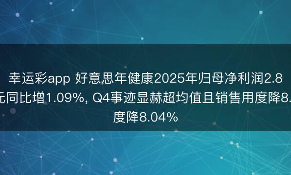 幸运彩app 好意思年健康2025年归母净利润2.85亿元同比增1.09%， Q4事迹显赫超均值且销售用度降8.04%