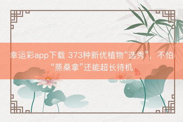 幸运彩app下载 373种新优植物“选秀”，不怕“蒸桑拿”还能超长待机