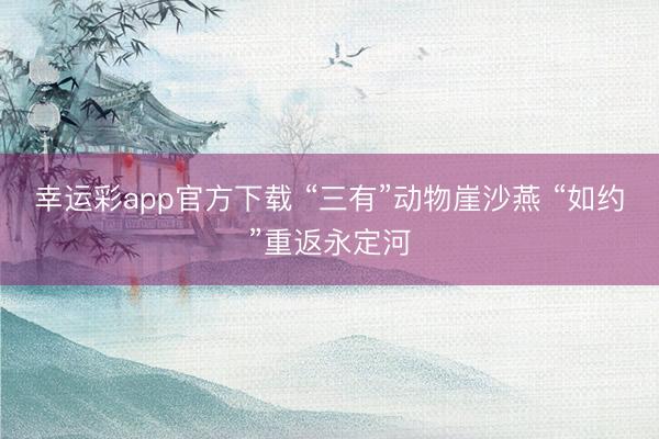 幸运彩app官方下载 “三有”动物崖沙燕 “如约”重返永定河