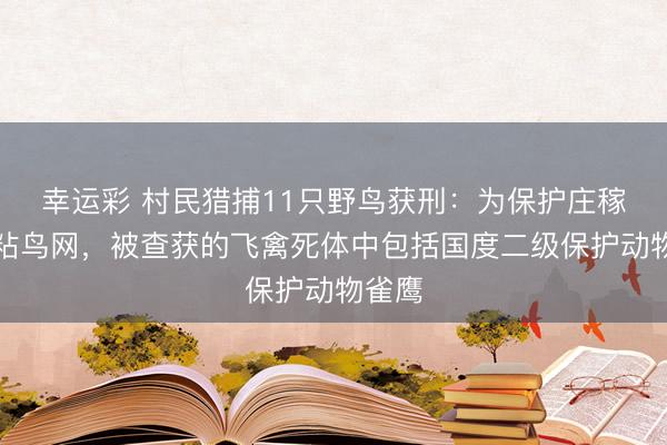 幸运彩 村民猎捕11只野鸟获刑：为保护庄稼私架粘鸟网，被查获的飞禽死体中包括国度二级保护动物雀鹰