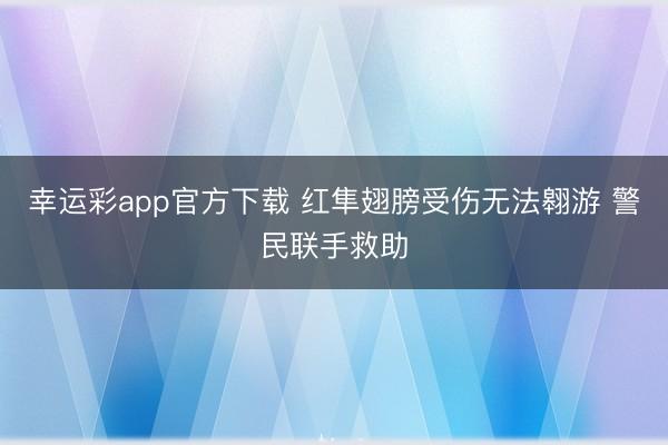 幸运彩app官方下载 红隼翅膀受伤无法翱游 警民联手救助