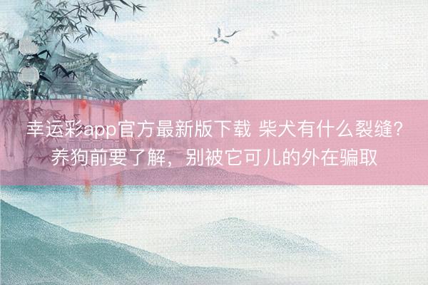 幸运彩app官方最新版下载 柴犬有什么裂缝?养狗前要了解，别被它可儿的外在骗取