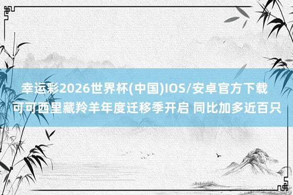 幸运彩2026世界杯(中国)IOS/安卓官方下载 可可西里藏羚羊年度迁移季开启 同比加多近百只