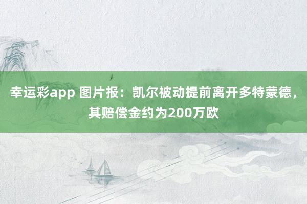 幸运彩app 图片报：凯尔被动提前离开多特蒙德，其赔偿金约为200万欧