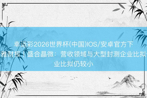 幸运彩2026世界杯(中国)IOS/安卓官方下载 V不雅财报｜盛合晶微：营收领域与大型封测企业比拟仍较小
