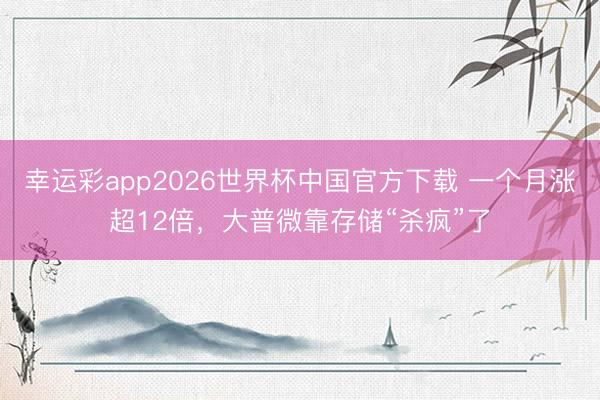 幸运彩app2026世界杯中国官方下载 一个月涨超12倍，大普微靠存储“杀疯”了