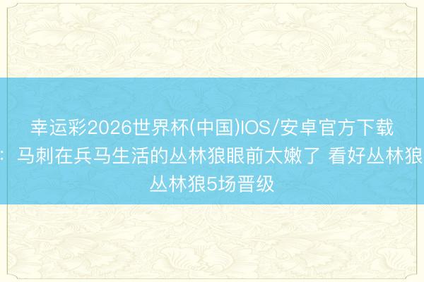 幸运彩2026世界杯(中国)IOS/安卓官方下载 胖沙门：马刺在兵马生活的丛林狼眼前太嫩了 看好丛林狼5场晋级