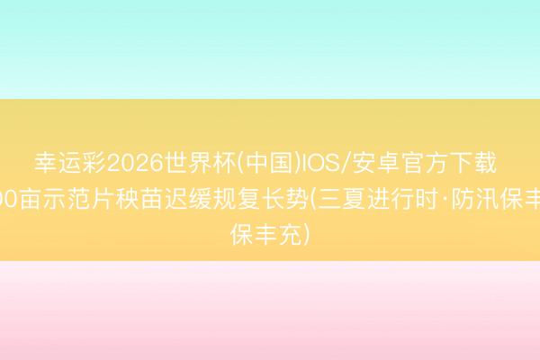 幸运彩2026世界杯(中国)IOS/安卓官方下载 5000亩示范片秧苗迟缓规复长势(三夏进行时·防汛保丰充)