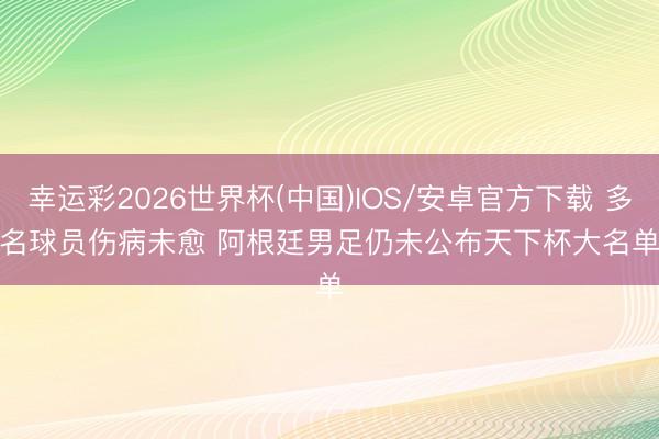 幸运彩2026世界杯(中国)IOS/安卓官方下载 多名球员伤病未愈 阿根廷男足仍未公布天下杯大名单